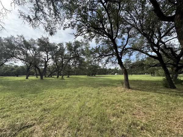 a view of a field with trees