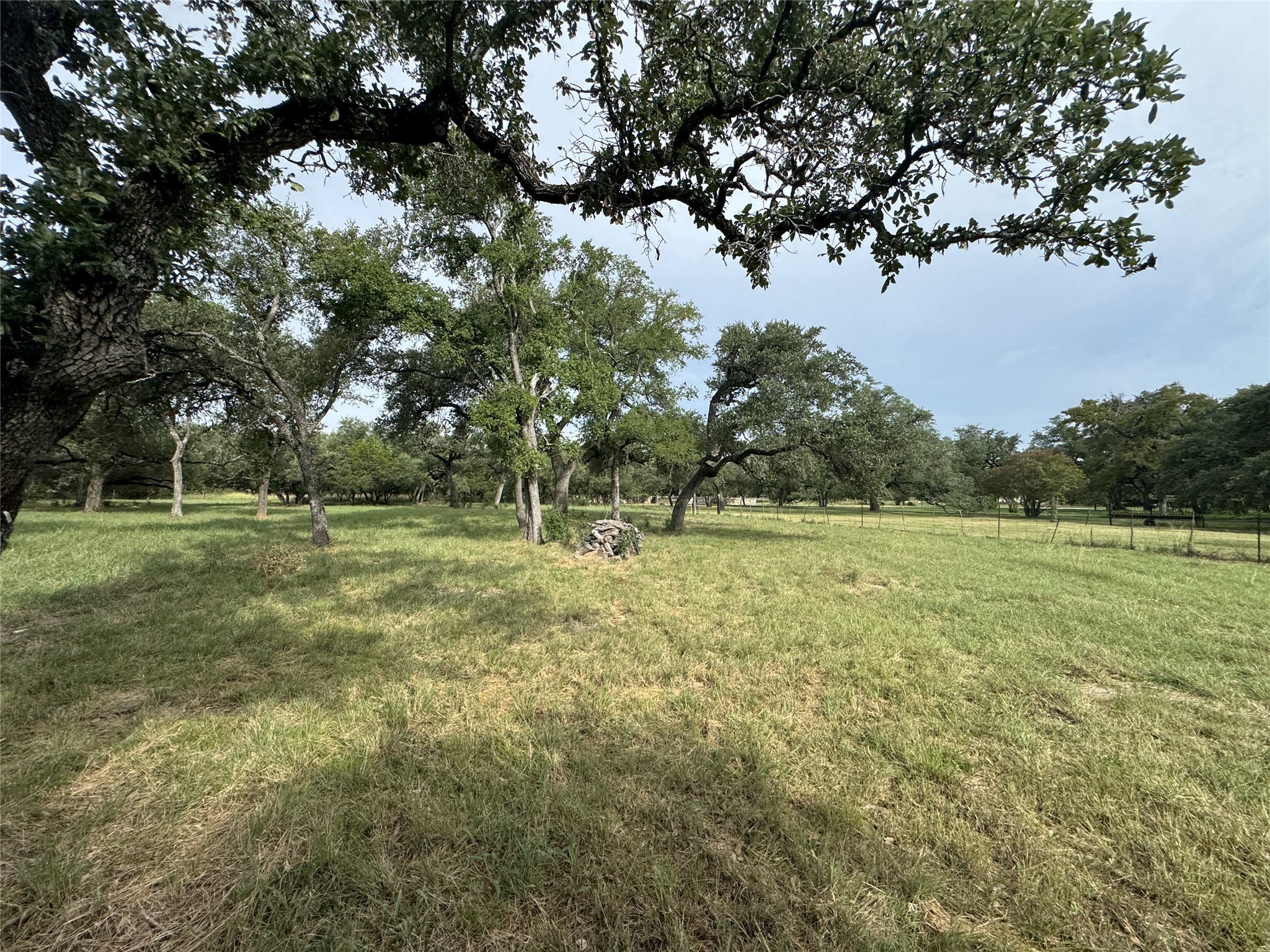 109 Estancia Way Georgetown, TX 78628 - Photo 3 of 22 a view of outdoor space with green field and trees