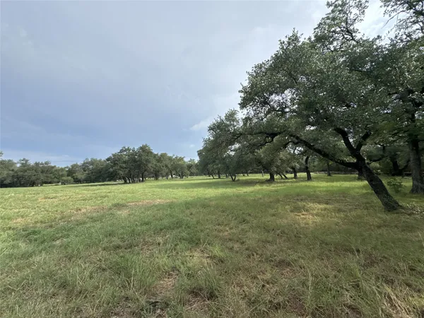 a view of a field with trees in the background
