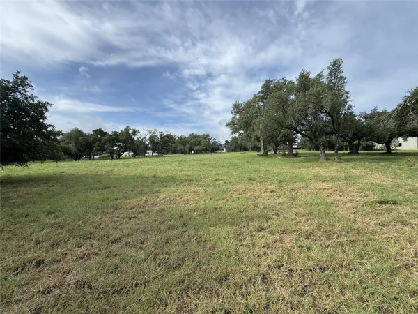 a view of a field with a trees in the background