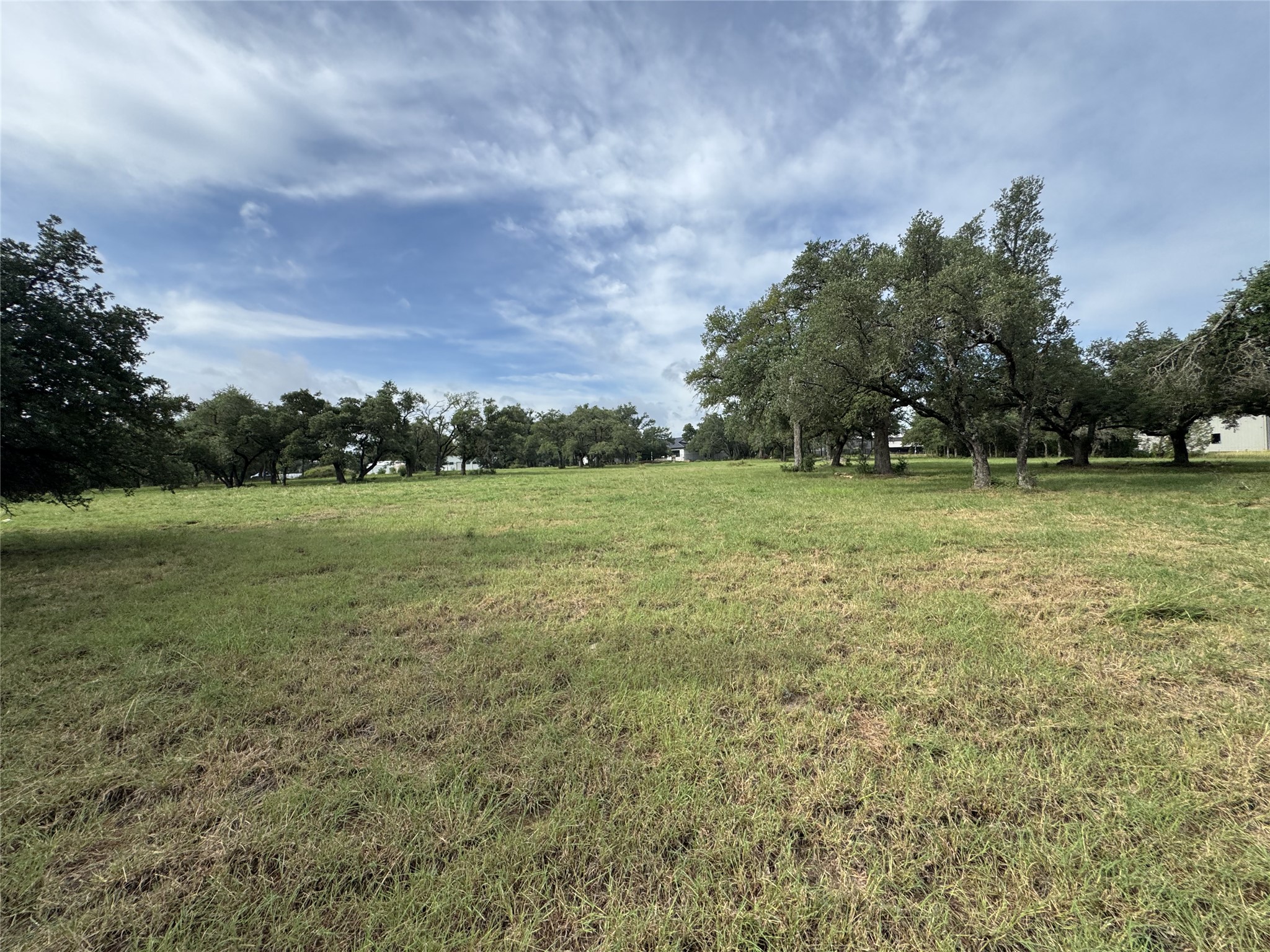 109 Estancia Way Georgetown, TX 78628 - Photo 8 of 22 a view of a field with a trees in the background