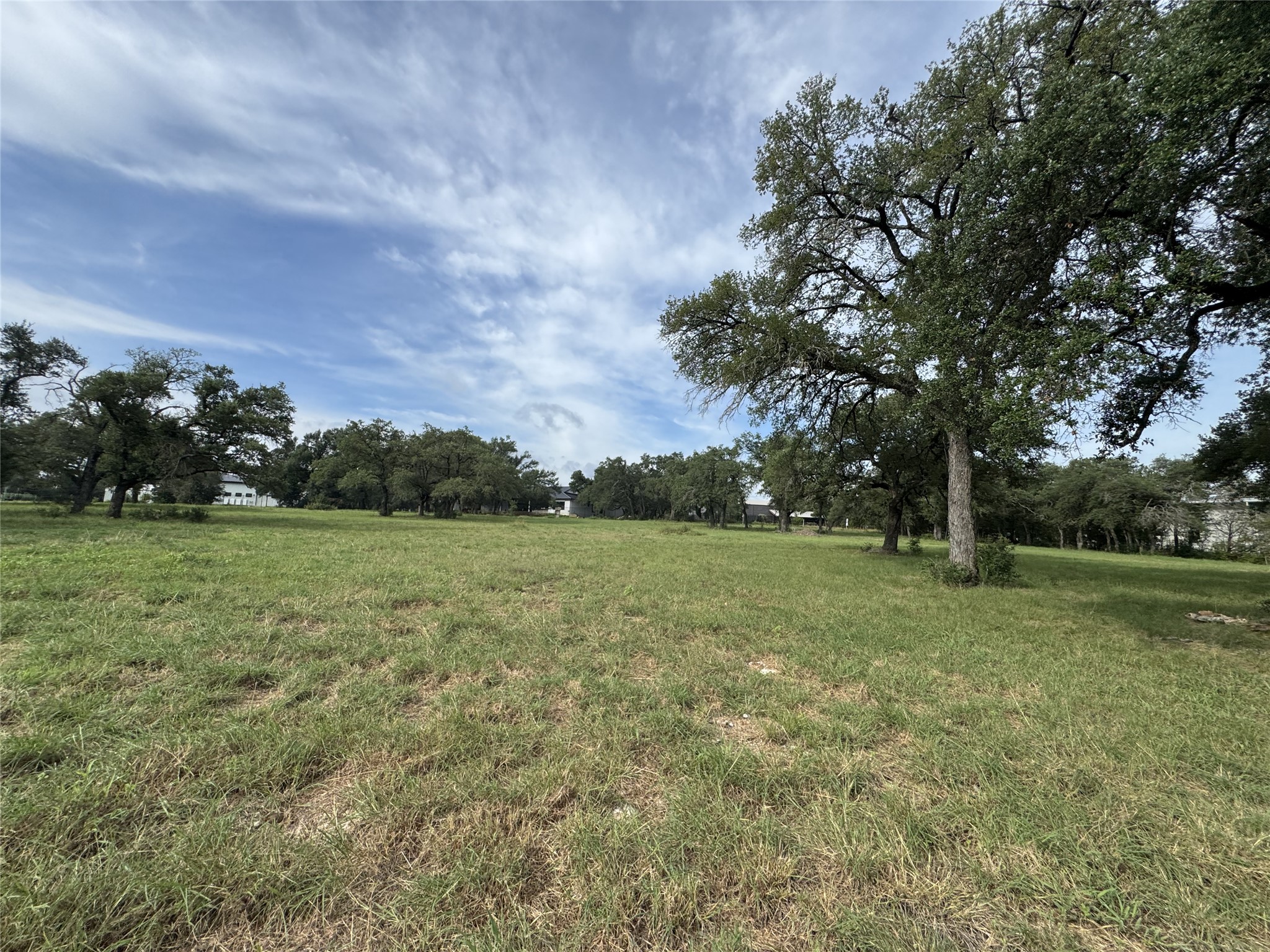 109 Estancia Way Georgetown, TX 78628 - Photo 9 of 22 a view of outdoor space with green field and trees
