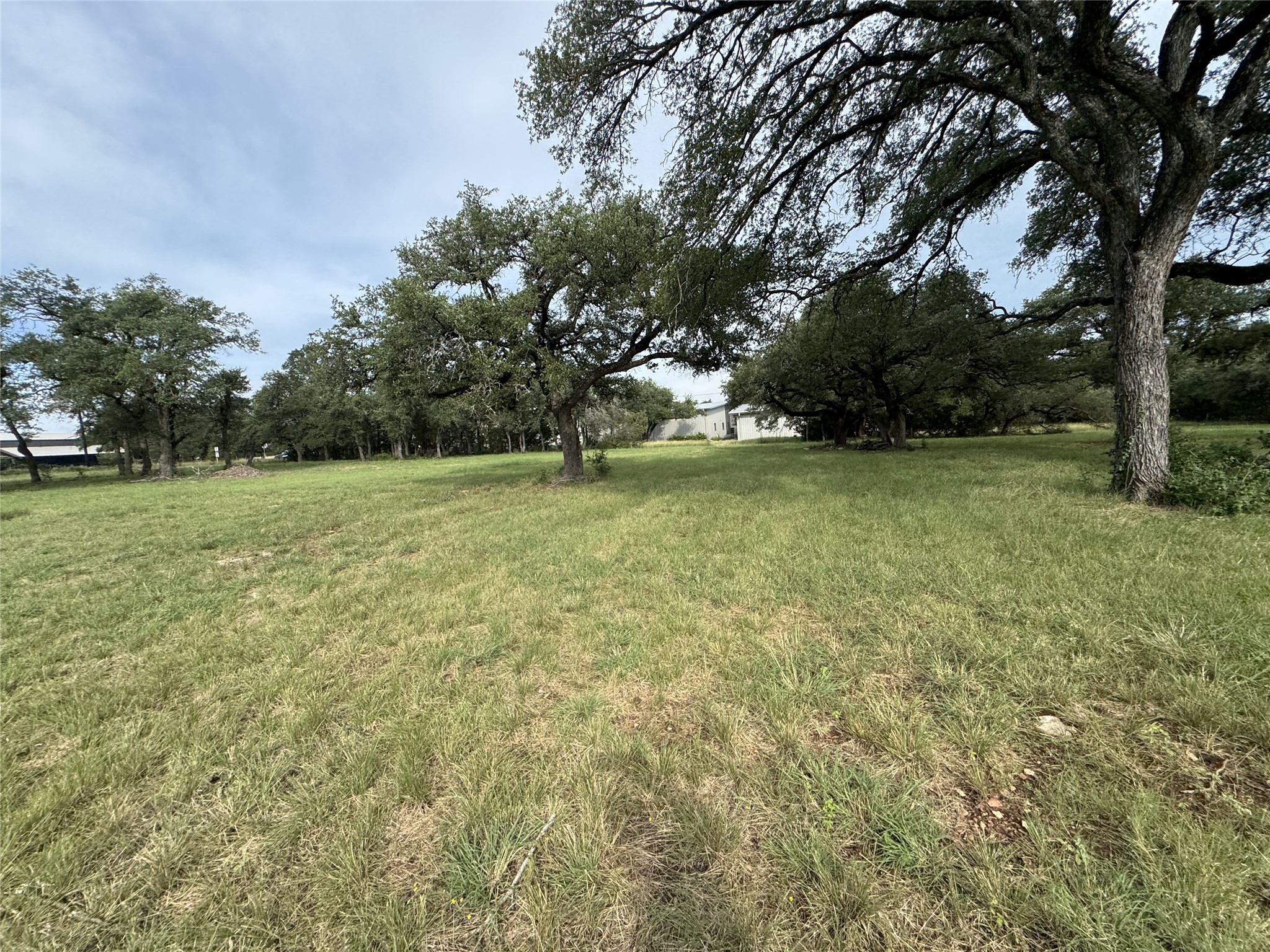 109 Estancia Way Georgetown, TX 78628 - Photo 10 of 22 a view of a field with trees in the background