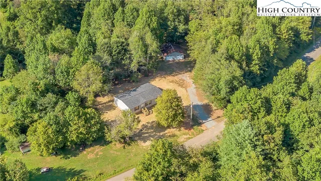 a view of a yard with plants and tree