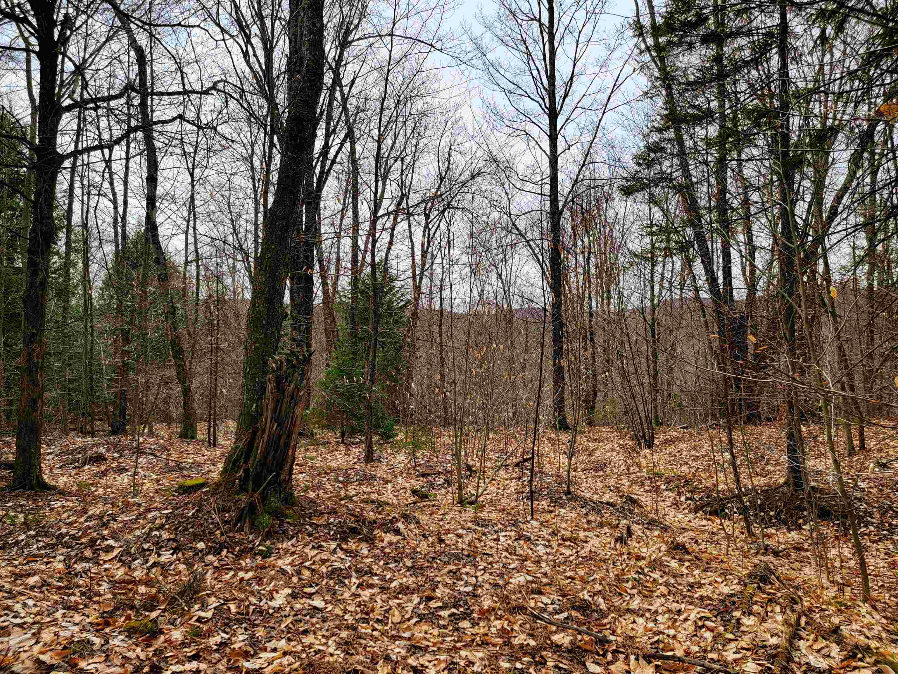 211 Poker Hill Road Underhill, VT 05489 - Photo 43 of 60