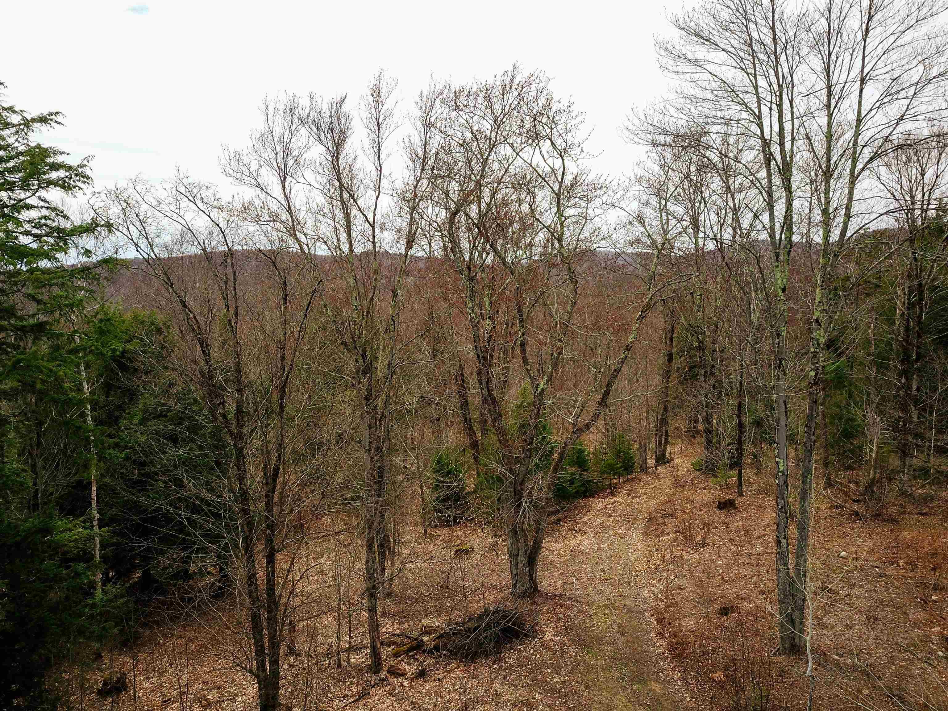 211 Poker Hill Road Underhill, VT 05489 - Photo 53 of 60