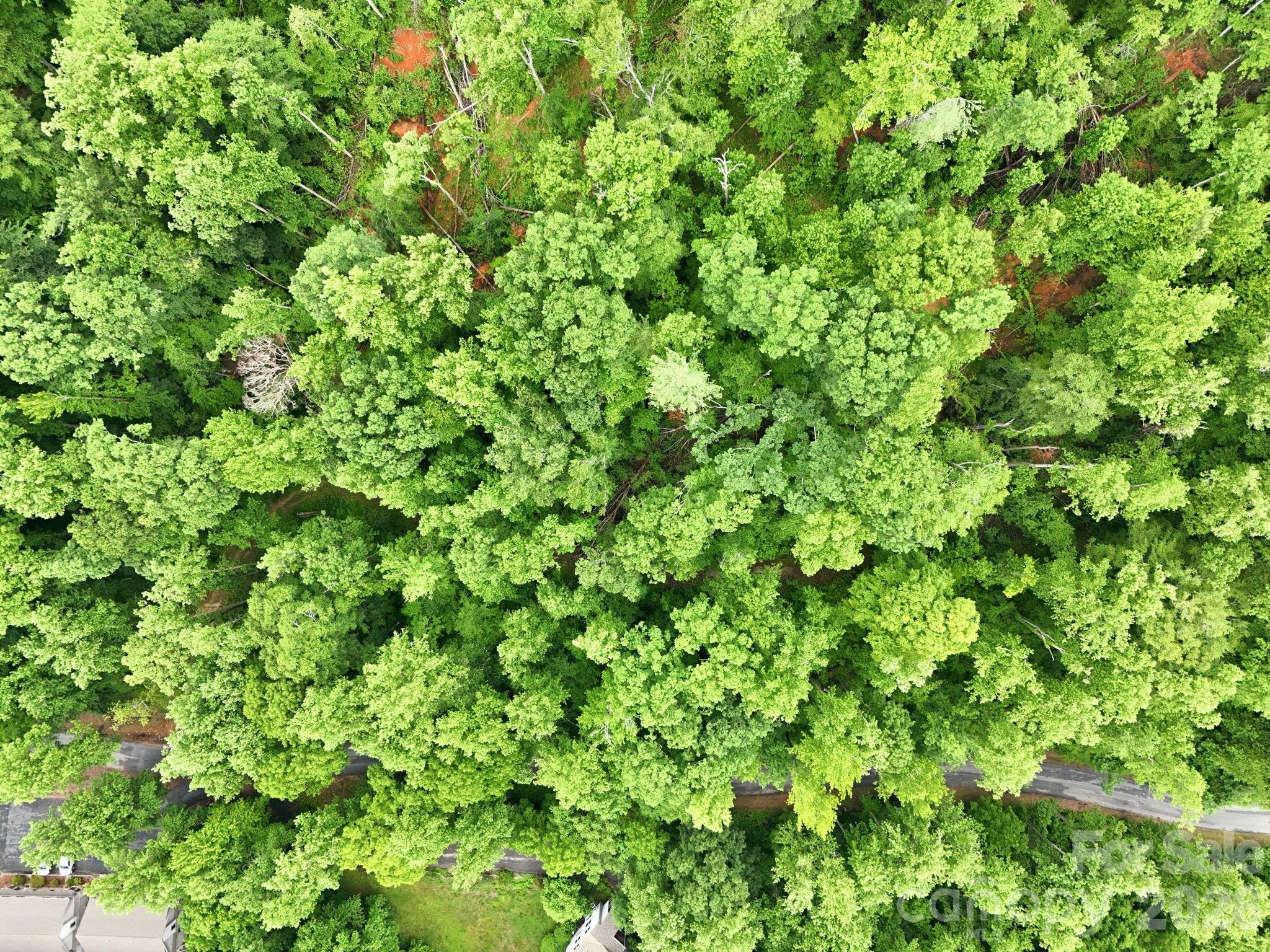 9999 Blue Ridge Drive South Marion, NC 28752 - Photo 11 of 17