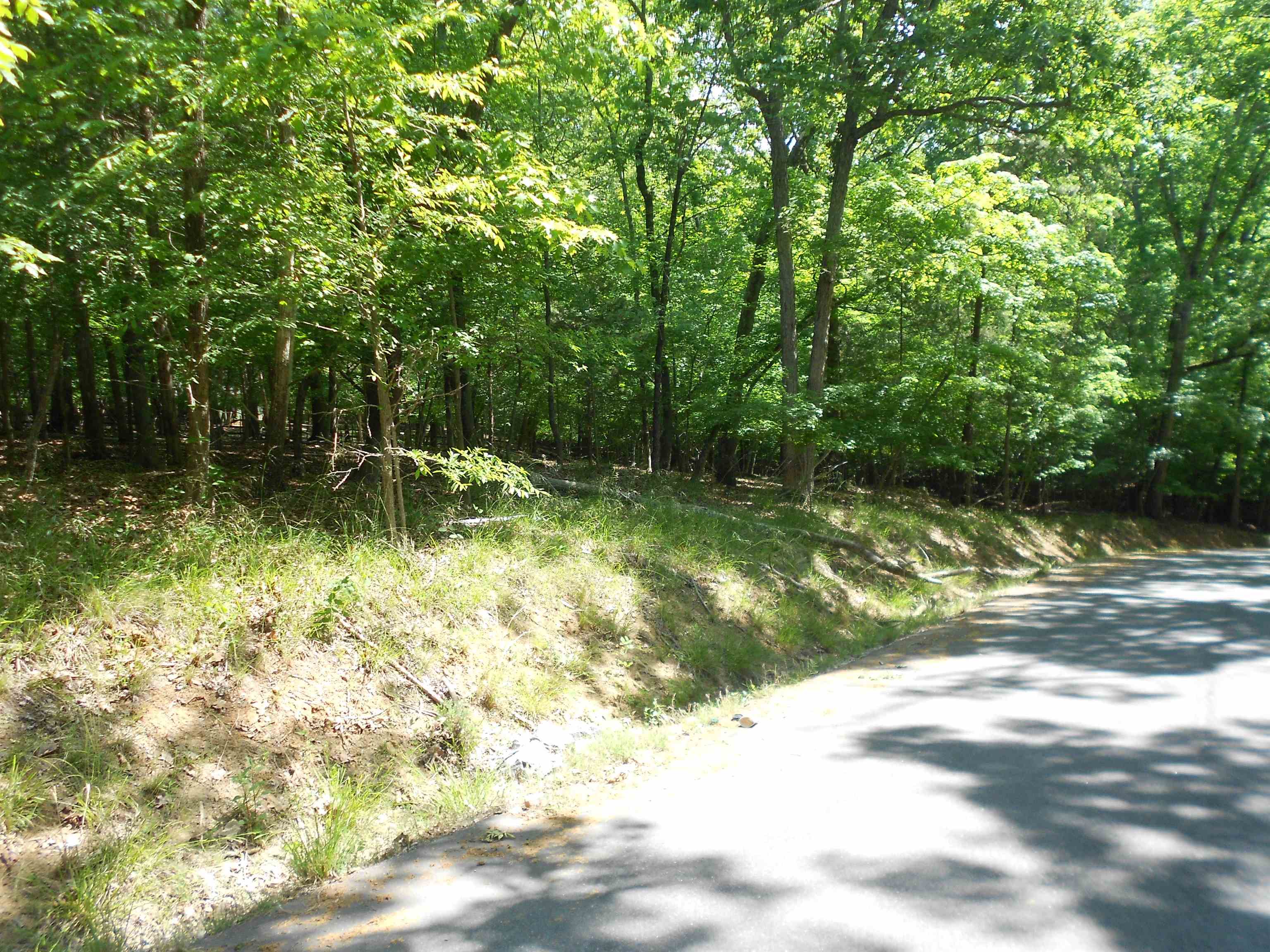 Lot 15-16 Cypress Road Clover, SC 29710 - Photo 12 of 15
