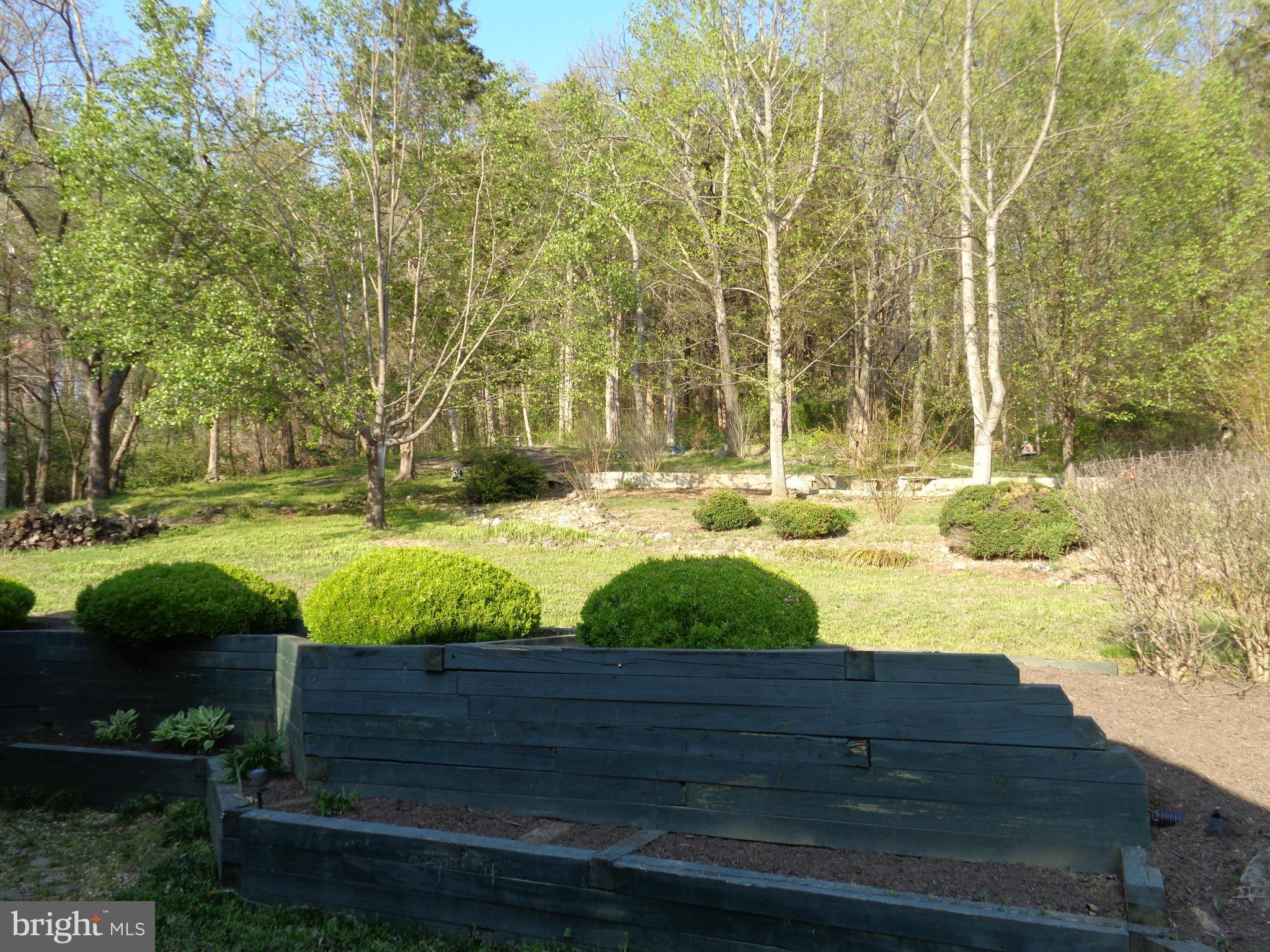 16545 Reva Road Culpeper, VA 22701 - Photo 20 of 22 Exterior (Rear)