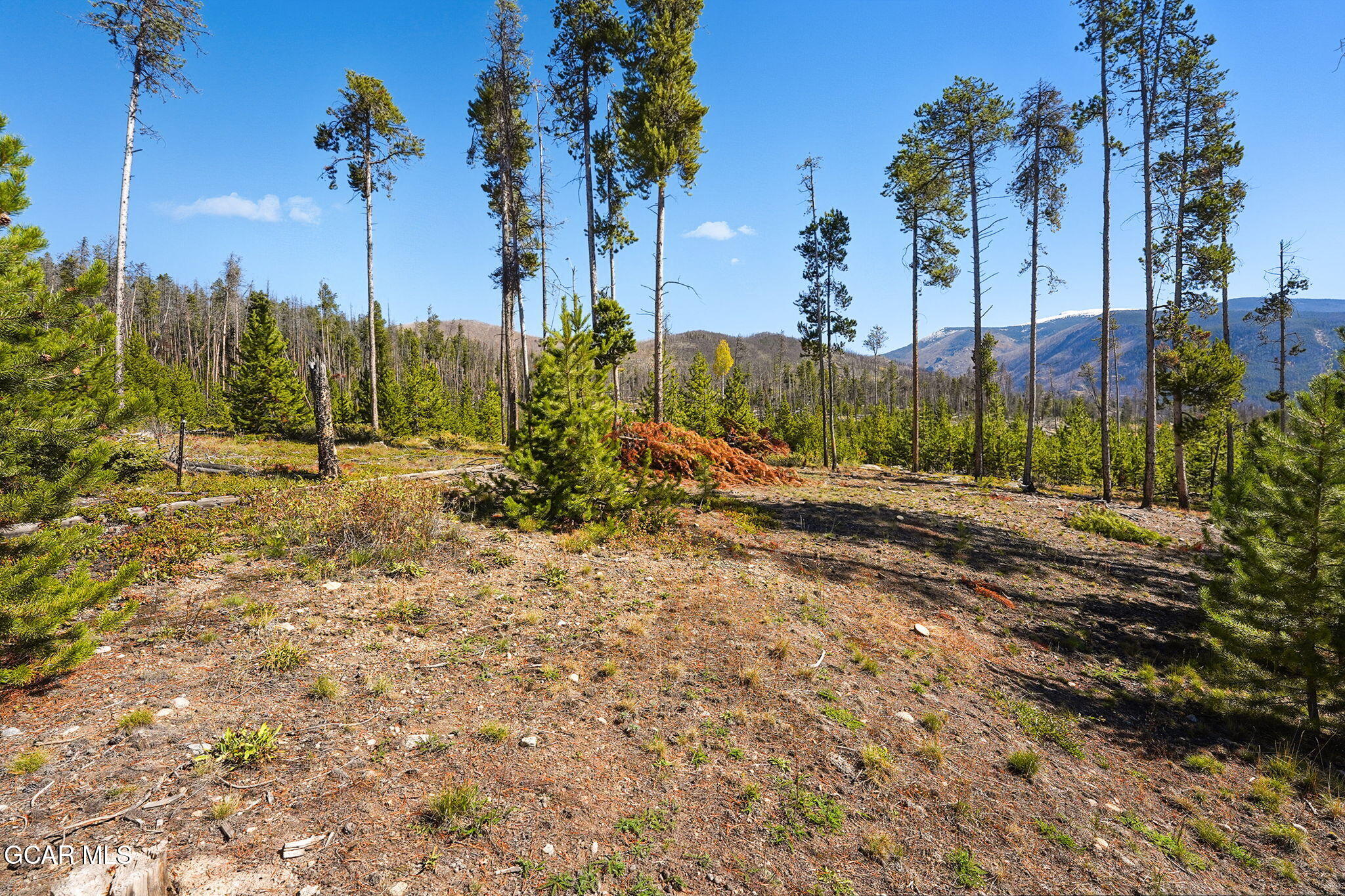 568 Old Tonahutu Ridge Road Grand Lake, CO 80447 - Photo 14 of 30 14-114-568-Old-Tonahutu-Ridge-Rd