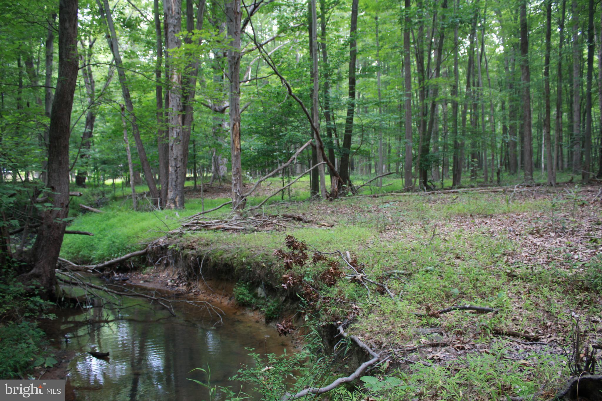 Conowingo Road Darlington, MD 21034 - Photo 17 of 25 a view of outdoor space and green space