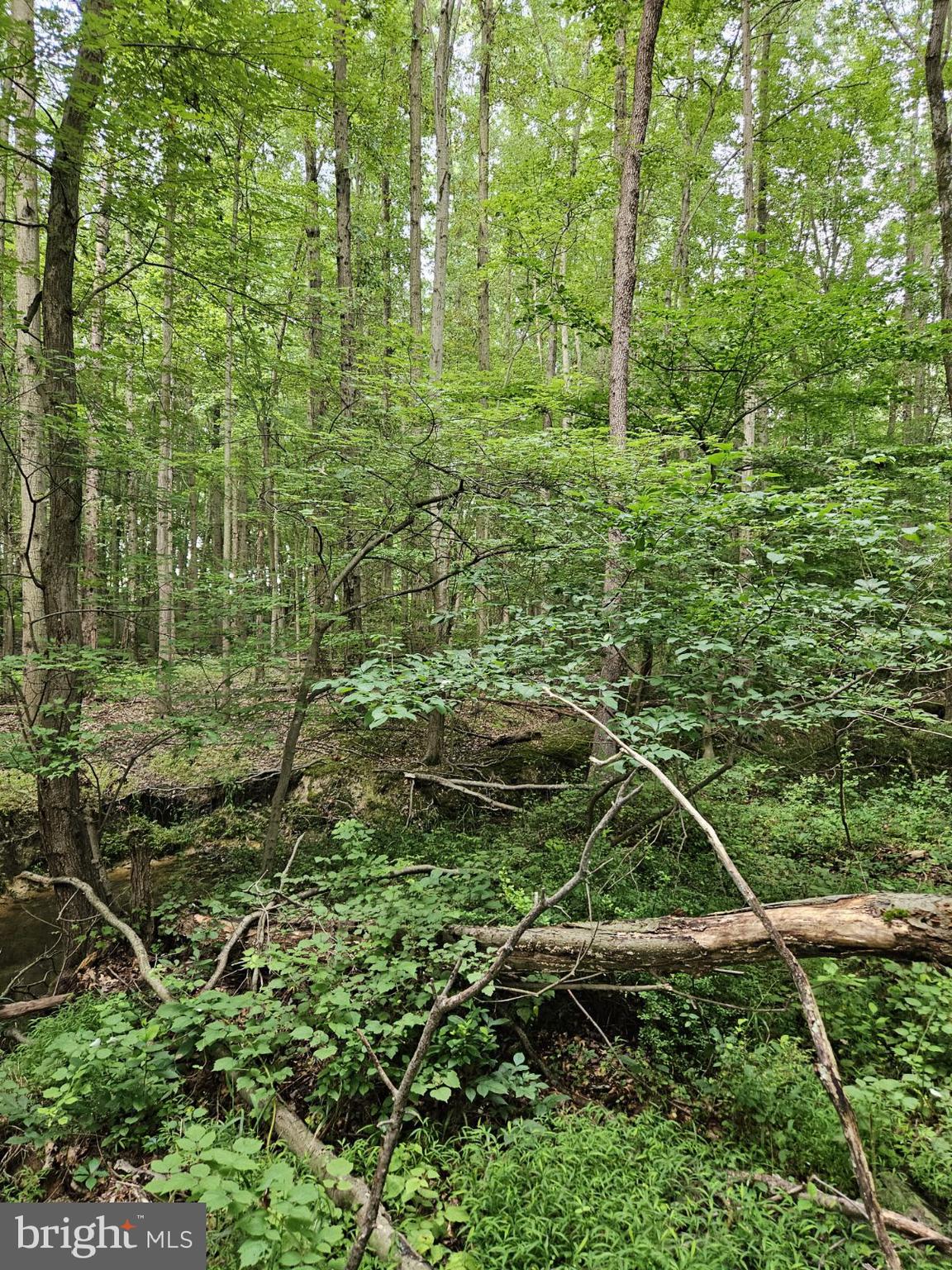 Conowingo Road Darlington, MD 21034 - Photo 18 of 25 a backyard of a house with lots of green space and fountain