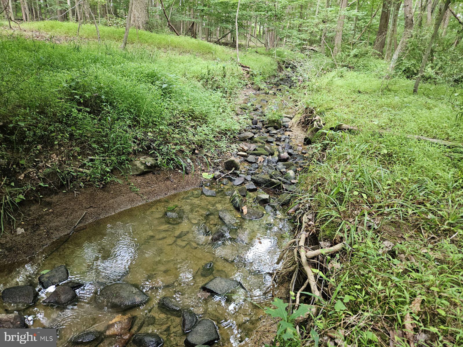 Conowingo Road Darlington, MD 21034 - Photo 22 of 25 a view of a garden with a lake