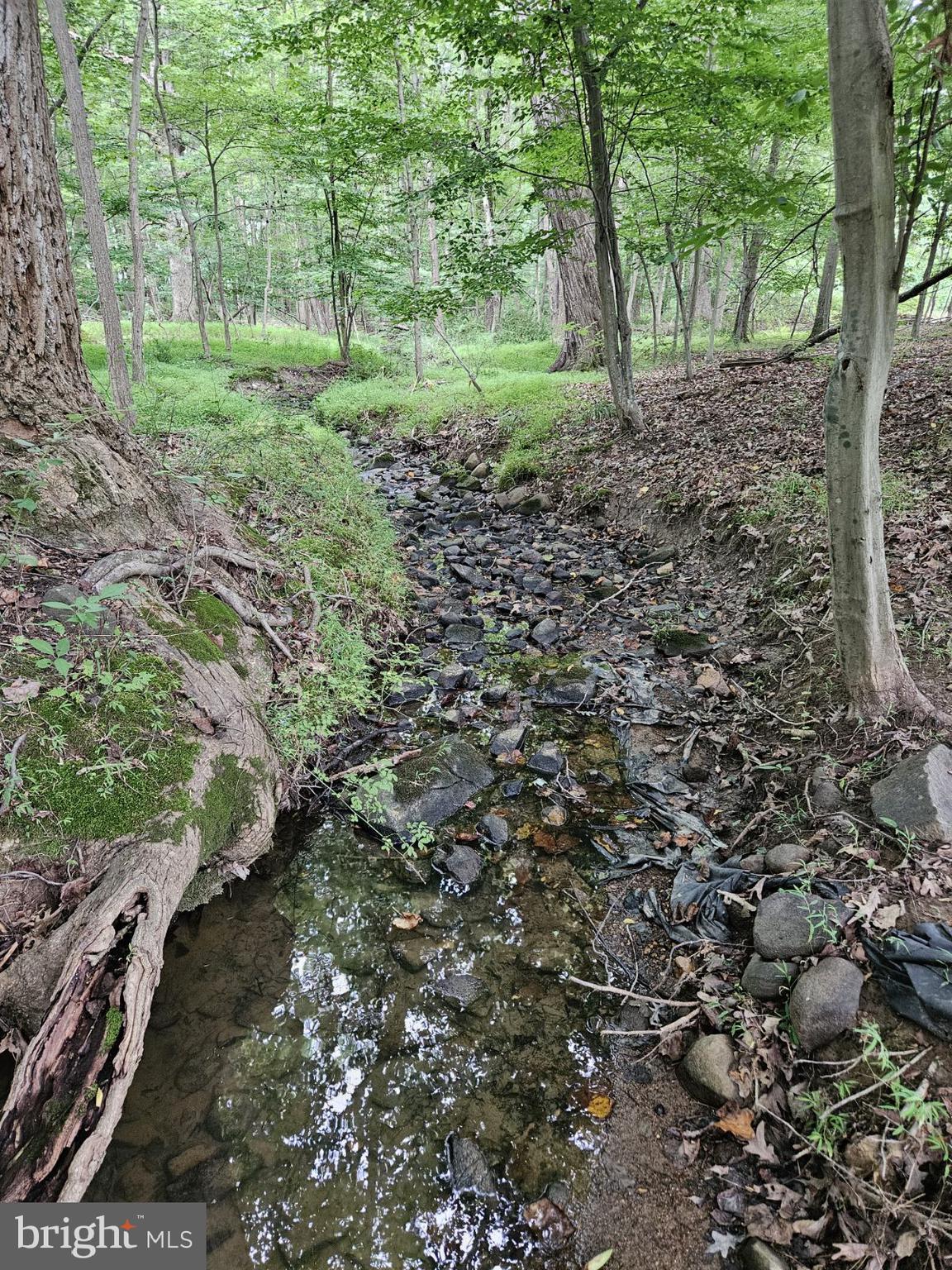 Conowingo Road Darlington, MD 21034 - Photo 23 of 25 a big yard with lots of green space and trees