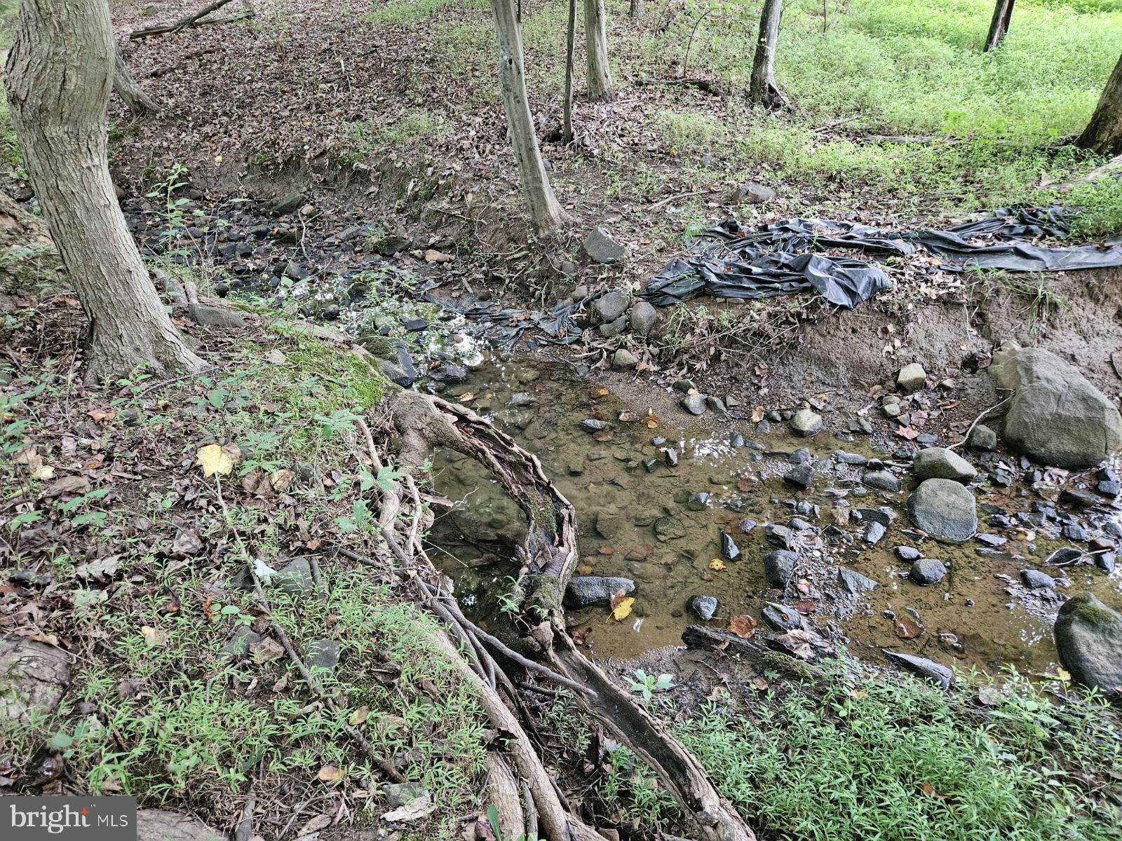 Conowingo Road Darlington, MD 21034 - Photo 24 of 25 a view of a yard with plants and wooden fence