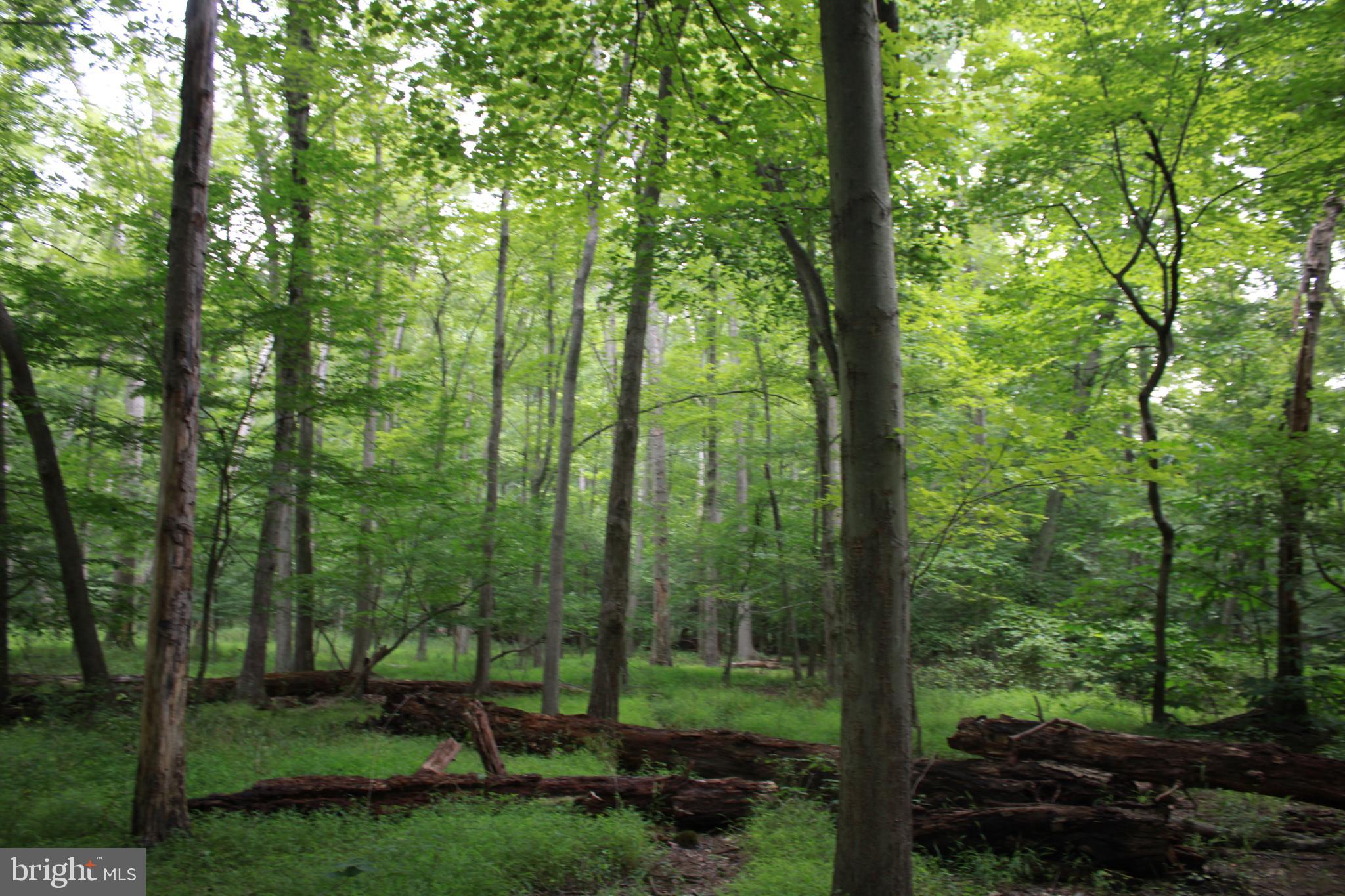Conowingo Road Darlington, MD 21034 - Photo 25 of 25 a view of outdoor space and garden