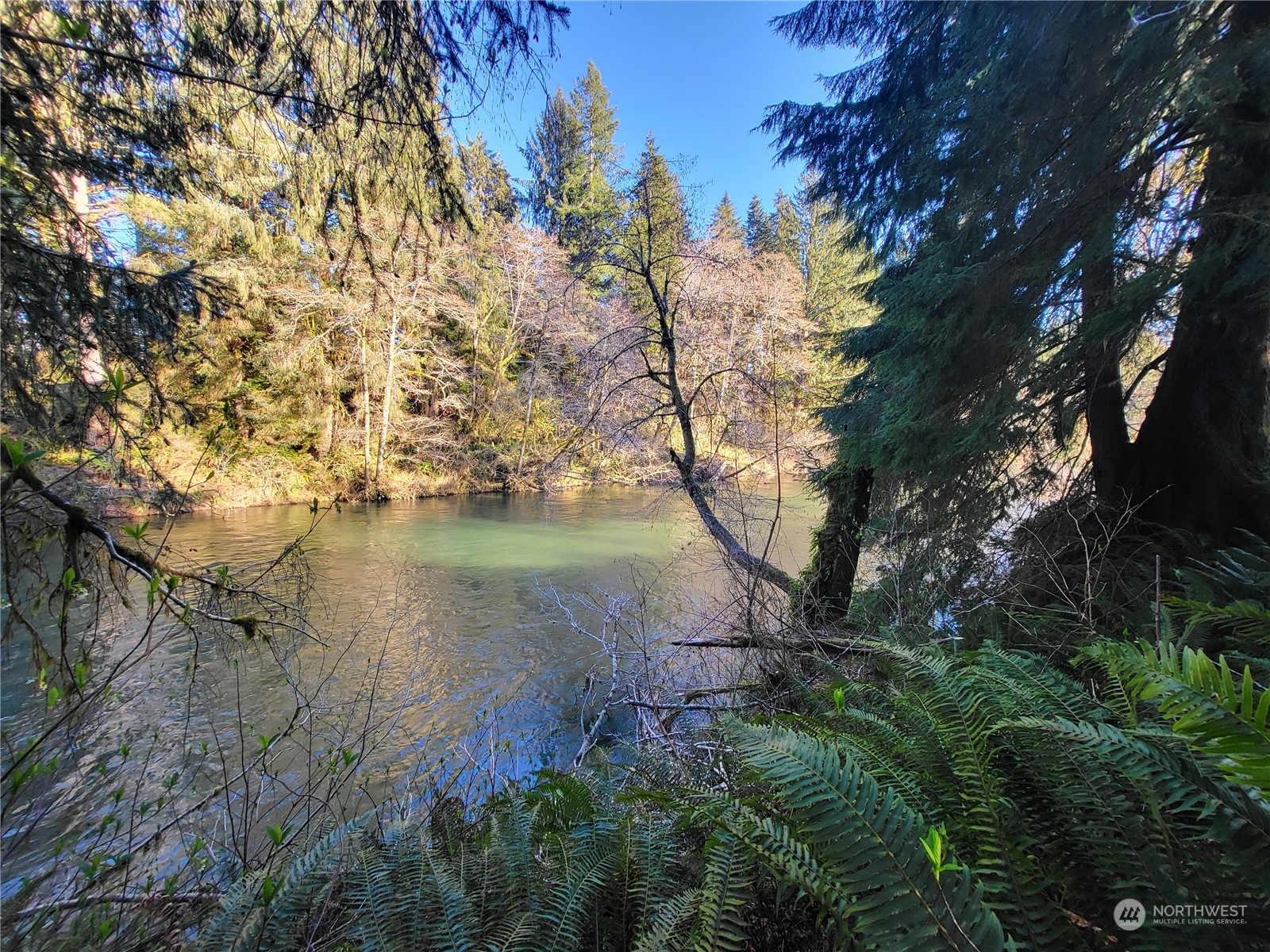 332 Shuwah Road Forks, WA 98331 - Photo 2 of 22 Gallery Image 2