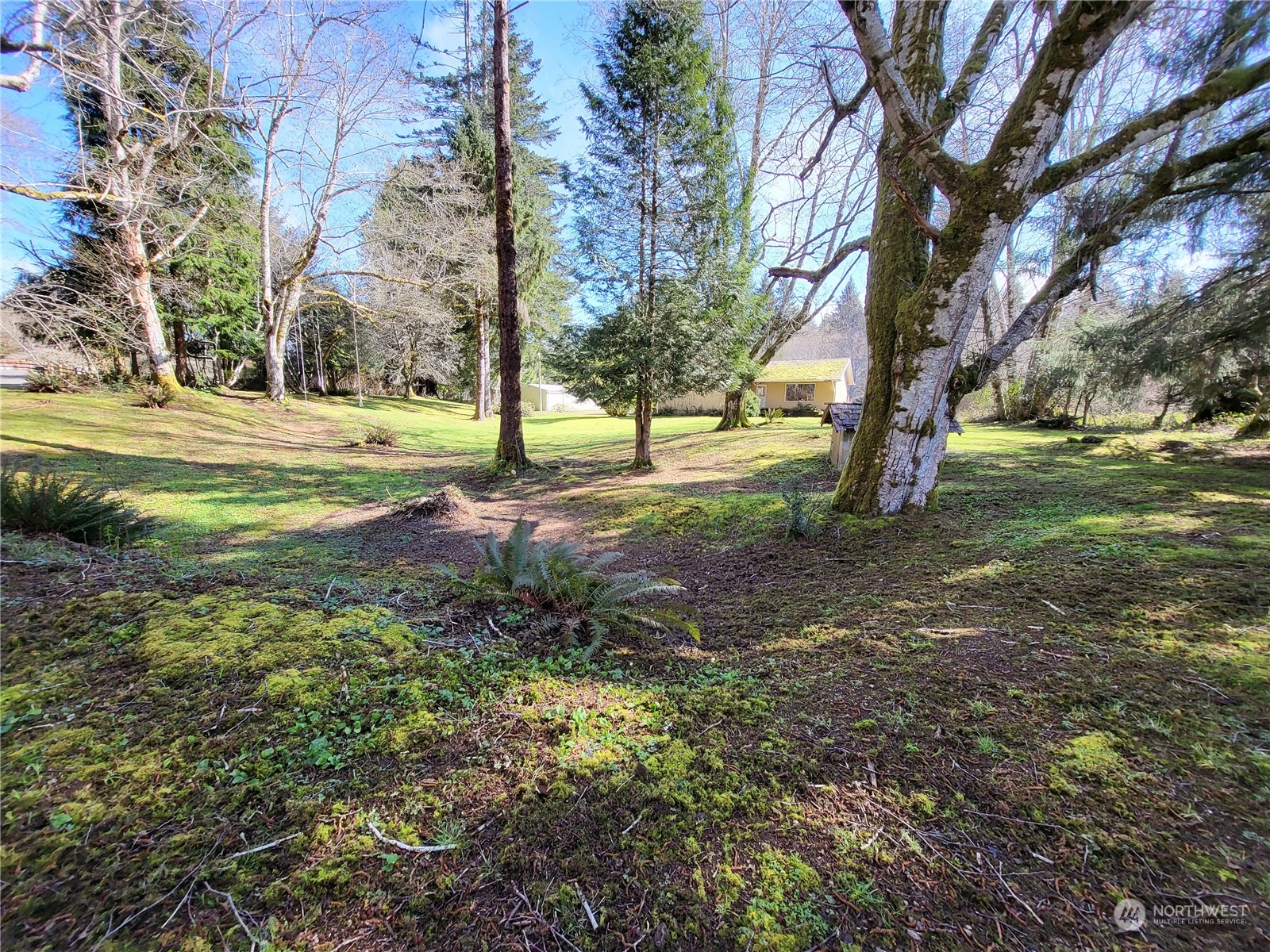 332 Shuwah Road Forks, WA 98331 - Photo 5 of 22 Gallery Image 5