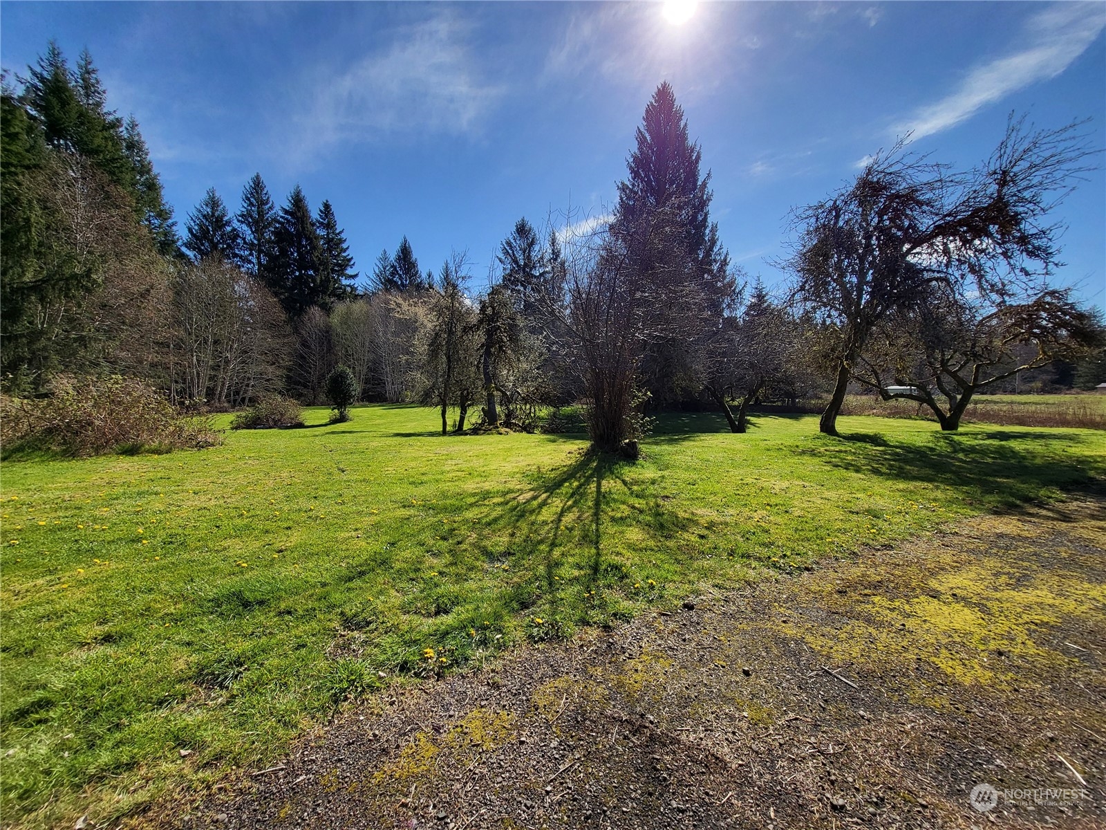 332 Shuwah Road Forks, WA 98331 - Photo 7 of 22 Gallery Image 7