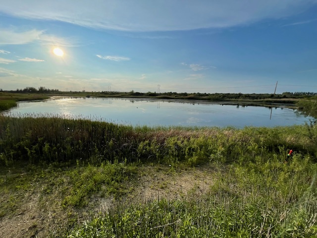Lot 1 County Road 1800 East Rantoul, IL 61866 - Photo 1 of 16 a view of a lake