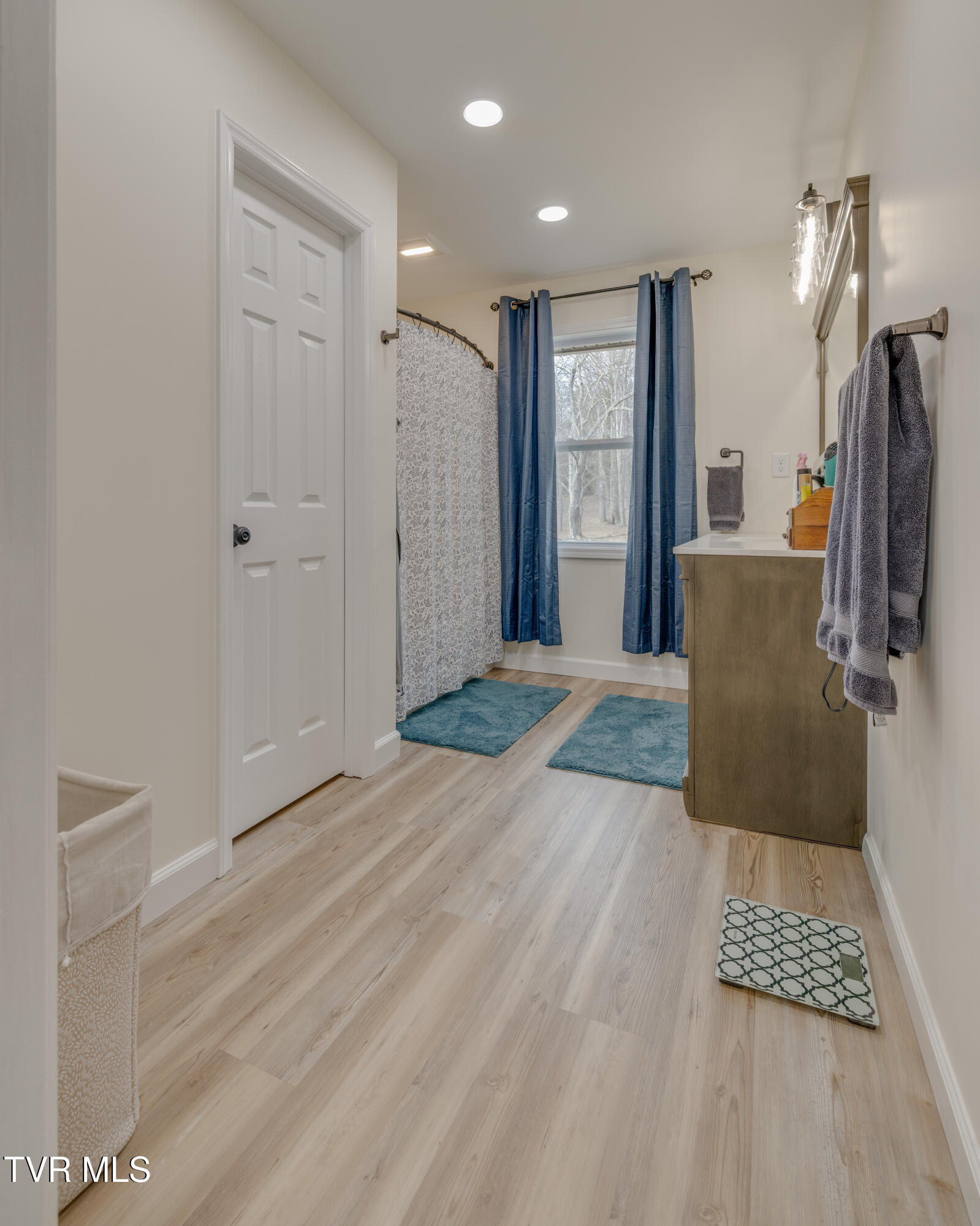 132 Shannon View Road Gray, TN 37615 - Photo 17 of 45 028