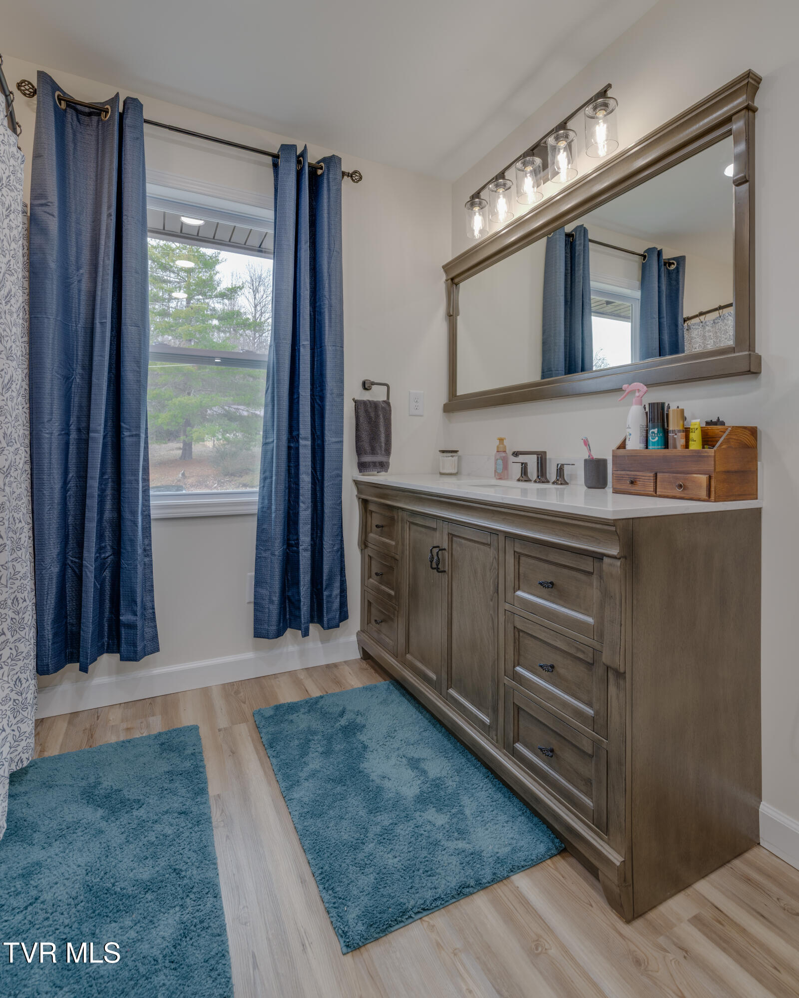 132 Shannon View Road Gray, TN 37615 - Photo 18 of 45 029