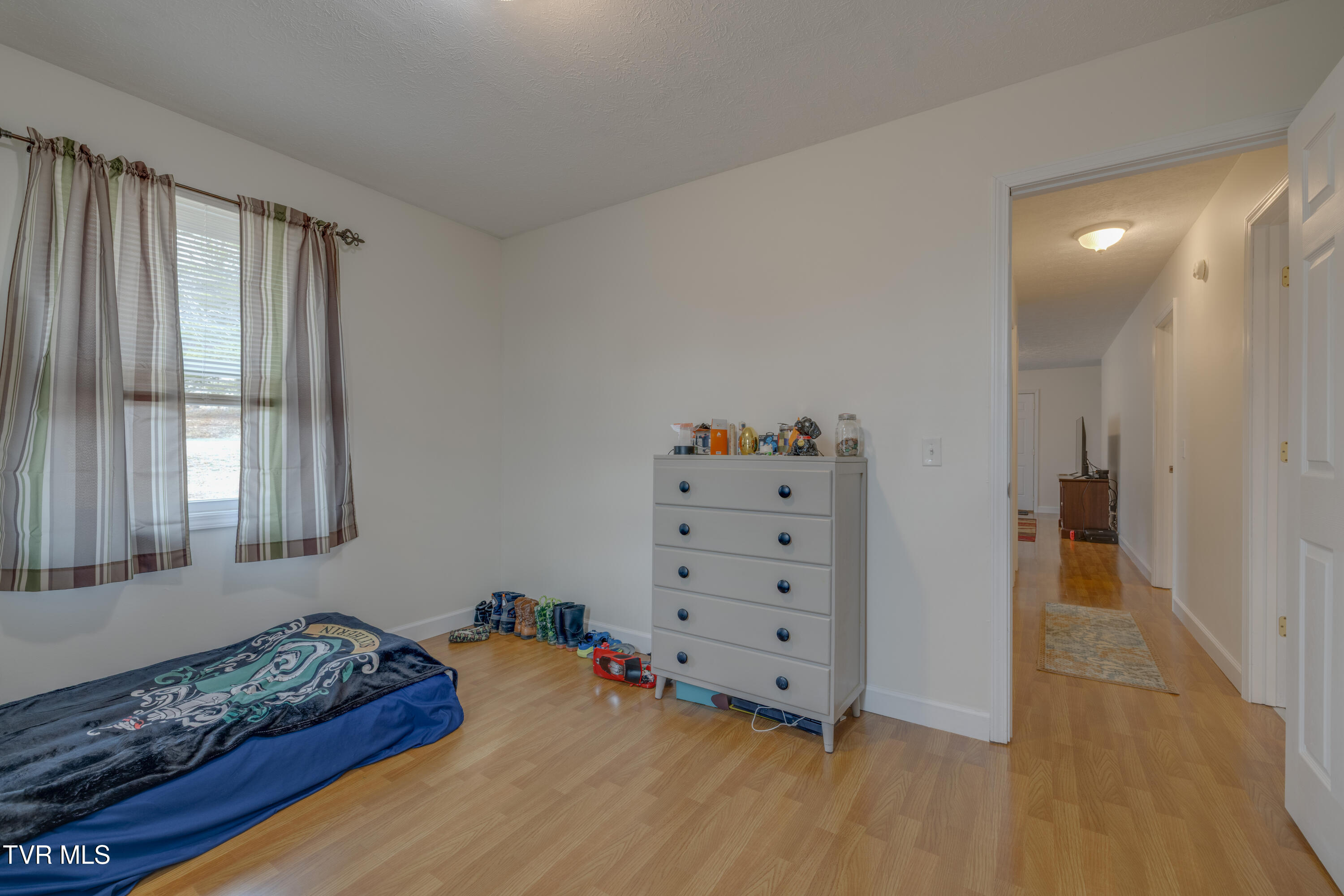 132 Shannon View Road Gray, TN 37615 - Photo 22 of 45 011