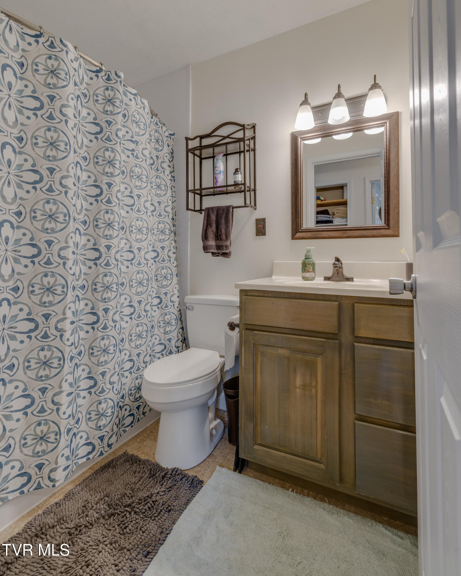 132 Shannon View Road Gray, TN 37615 - Photo 24 of 45 007