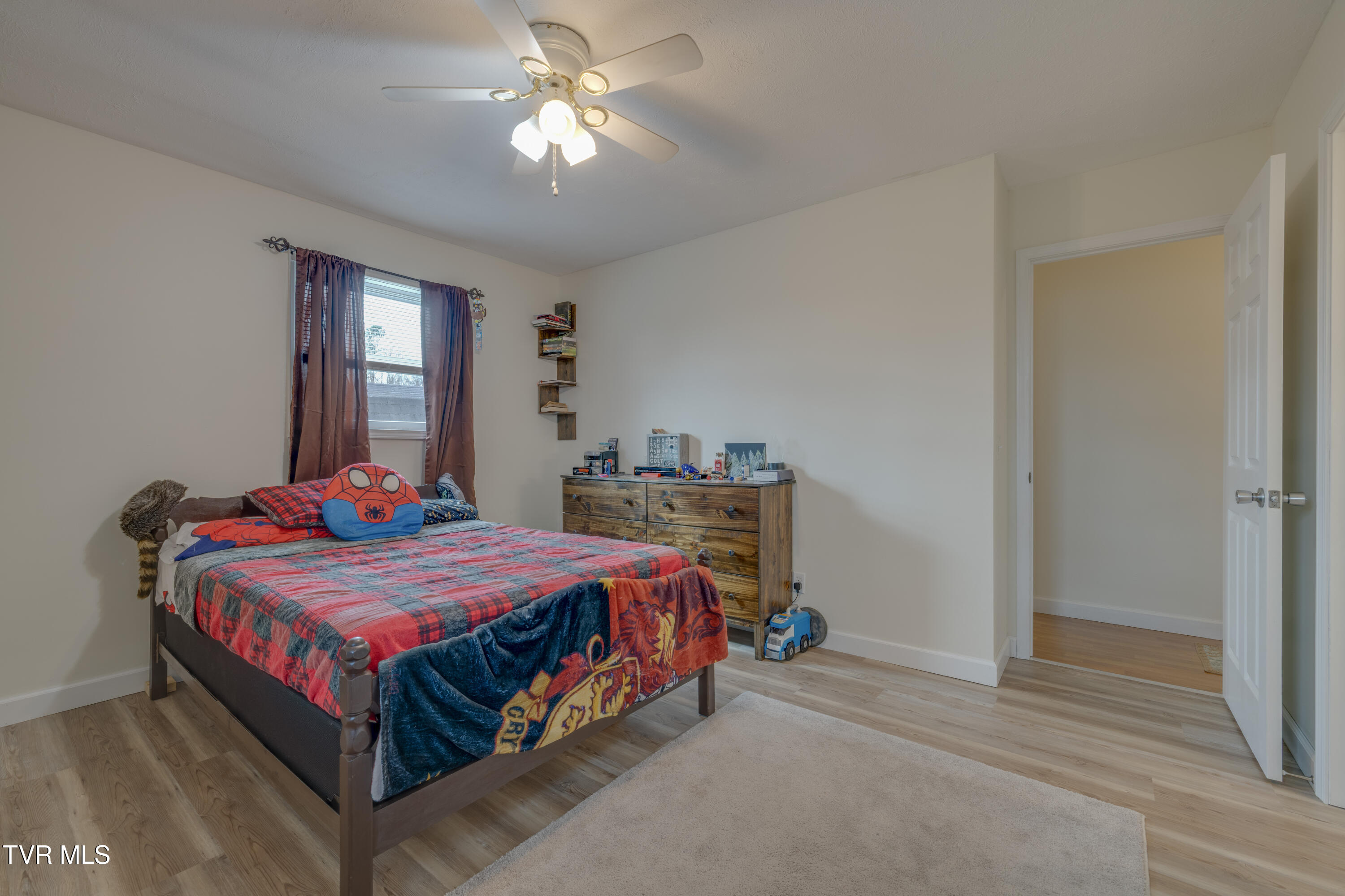 132 Shannon View Road Gray, TN 37615 - Photo 26 of 45 015