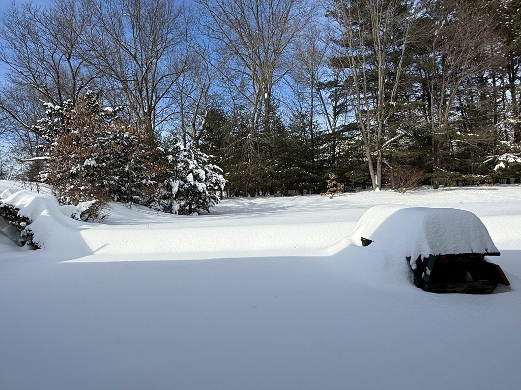 461 Sheridan Street Chicopee, MA 01020 - Photo 5 of 42