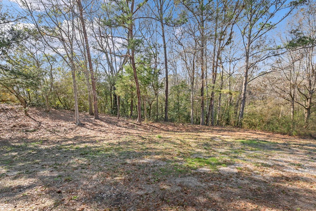 301 Larkin Street Enterprise, AL 36330 - Photo 17 of 21