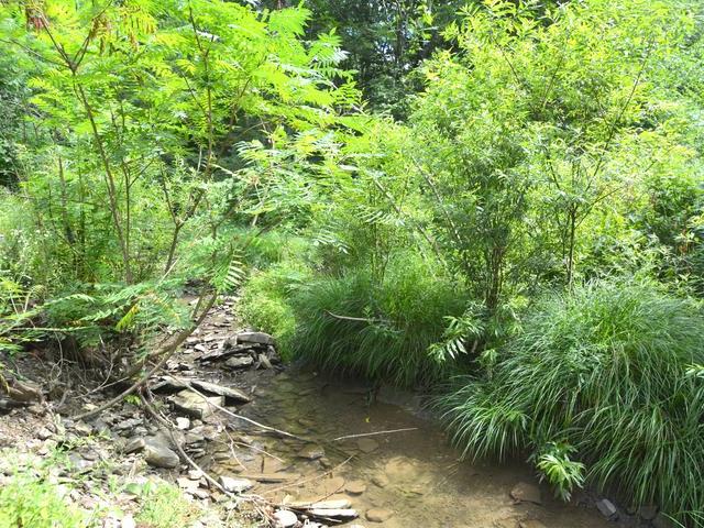 1710 Fairbanks Road Russell, PA 16345 - Photo 20 of 35 Gallery Image 20