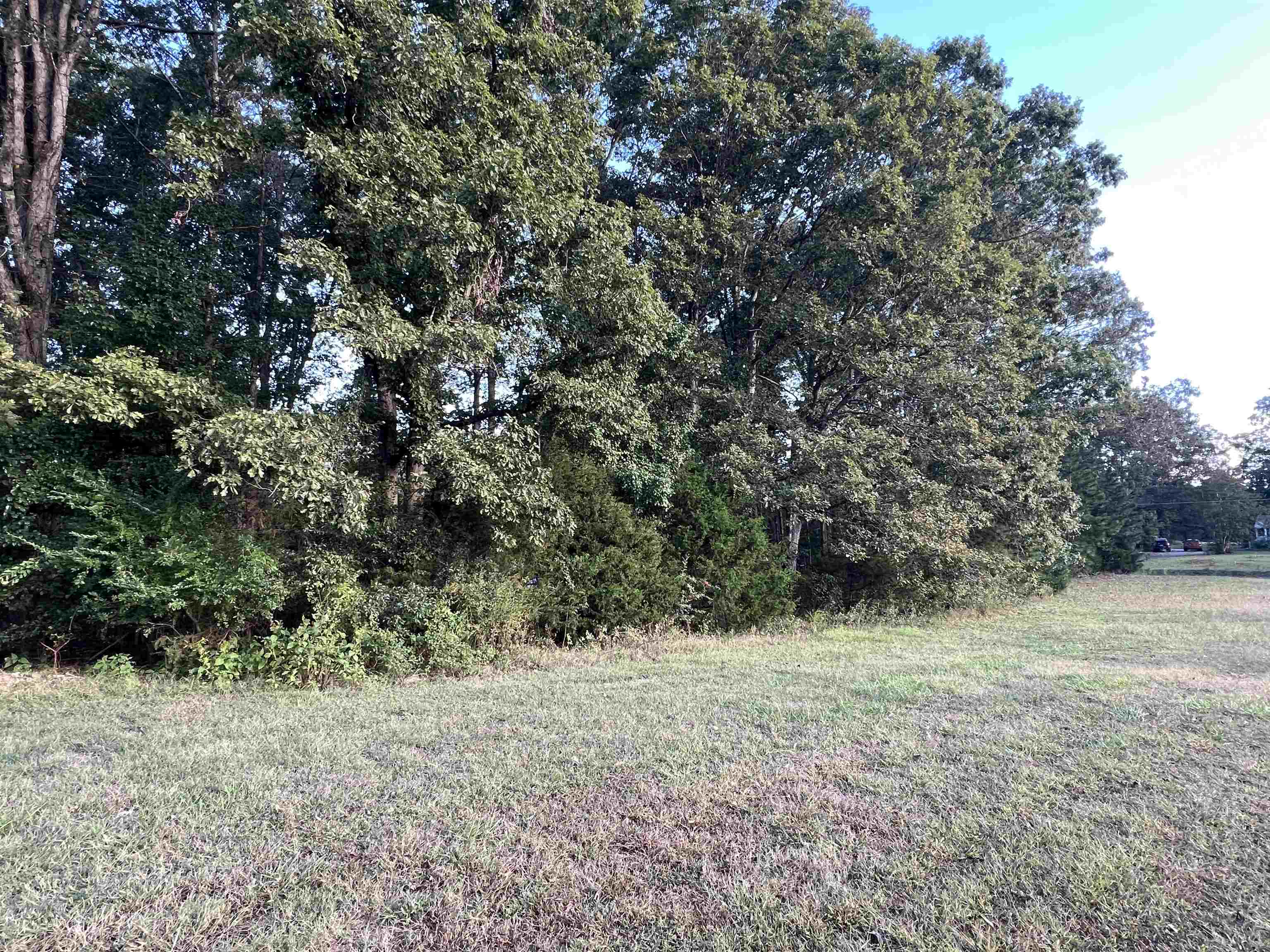 0 Walnut Hill Church Road Campobello, SC 29322 - Photo 2 of 3