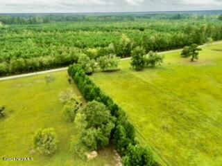 2900 Smyrna Road Whiteville, NC 28472 - Photo 25 of 35 dji_fly_20240914_105810_207_172632794505