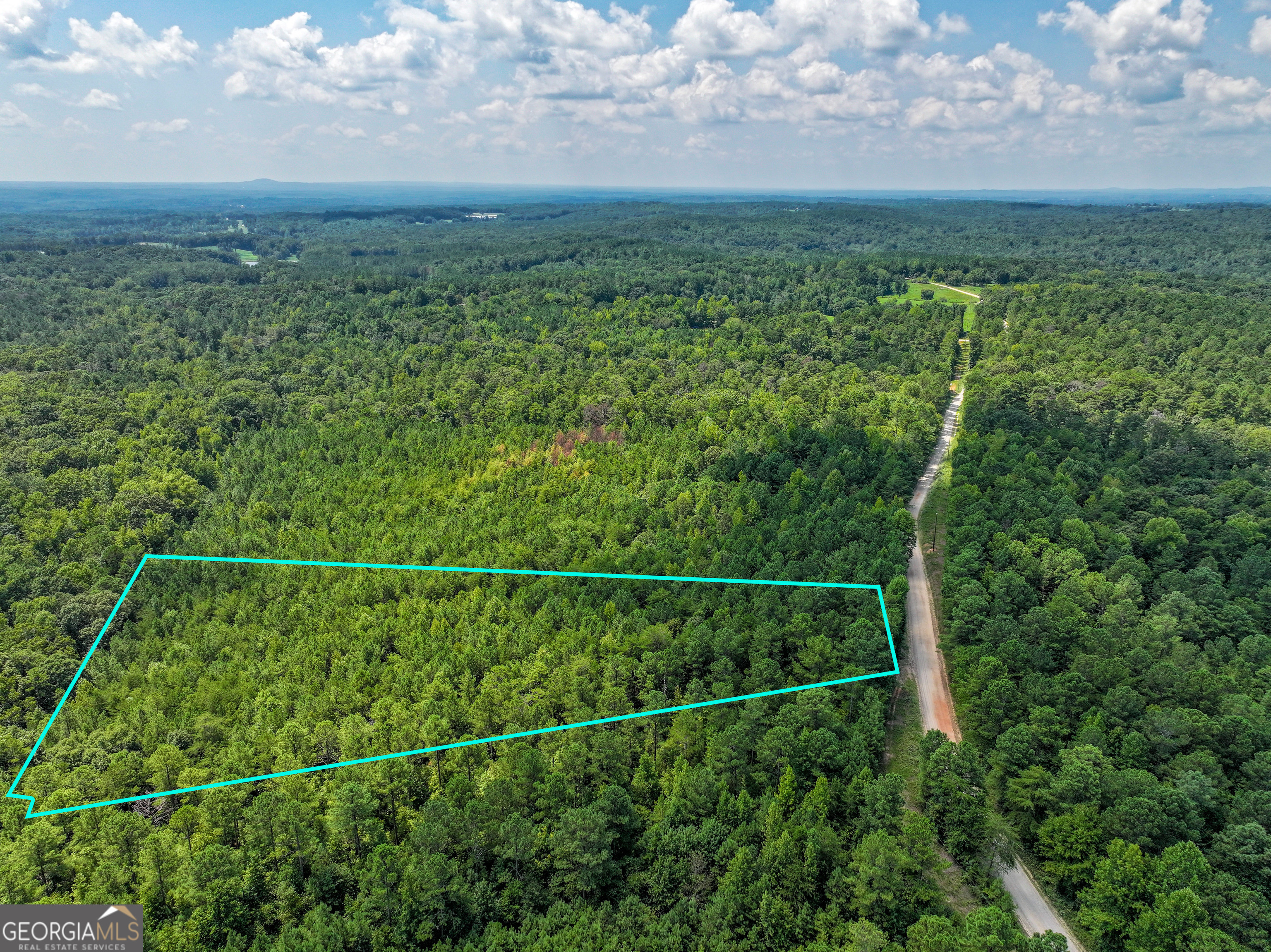 314 Teague Road, Unit TRACT I) Waco, GA 30182 - Photo 1 of 1 a view of a field and trees in the background