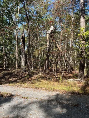 $289,900 | Tbd Gerties Lane, Stuarts Draft, VA 24477