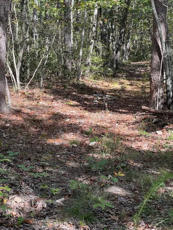 $289,900 | Tbd Gerties Lane, Stuarts Draft, VA 24477