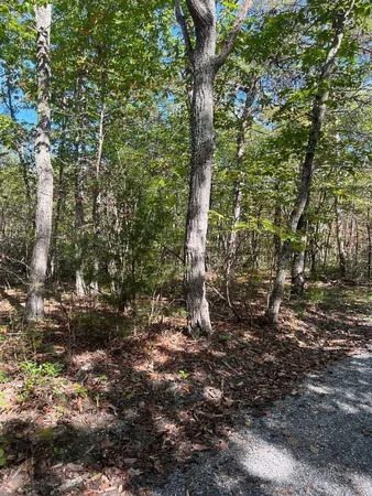 $289,900 | Tbd Gerties Lane, Stuarts Draft, VA 24477