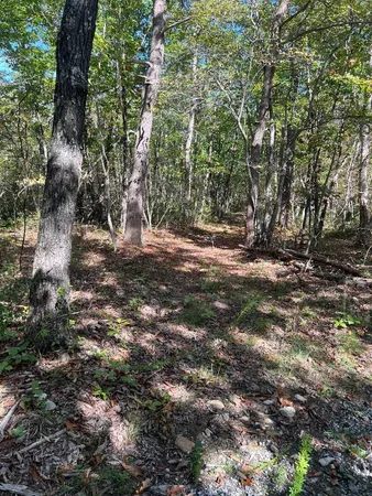 $289,900 | Tbd Gerties Lane, Stuarts Draft, VA 24477