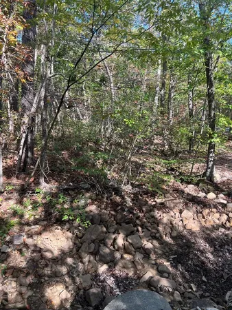 $289,900 | Tbd Gerties Lane, Stuarts Draft, VA 24477