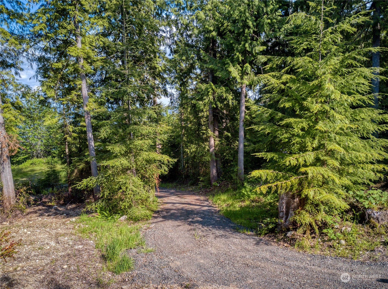 376 Whitney Road Quilcene, WA 98376 - Photo 12 of 31 a backyard of a house with lots of green space