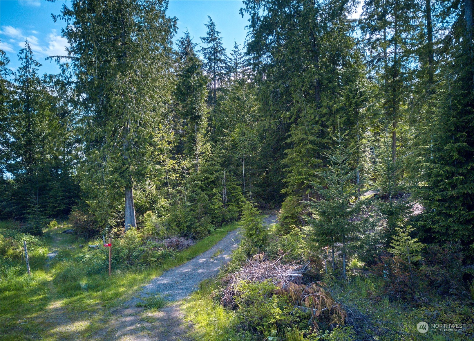 376 Whitney Road Quilcene, WA 98376 - Photo 14 of 31 a view of a lush green forest