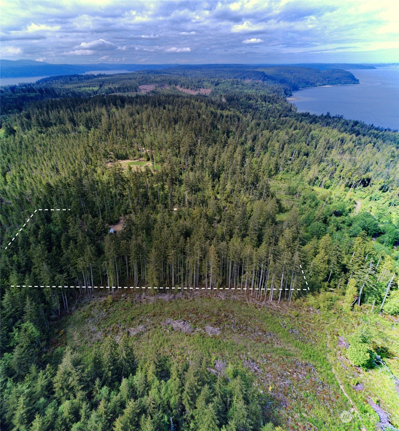 376 Whitney Road Quilcene, WA 98376 - Photo 18 of 31 a view of a lush green field