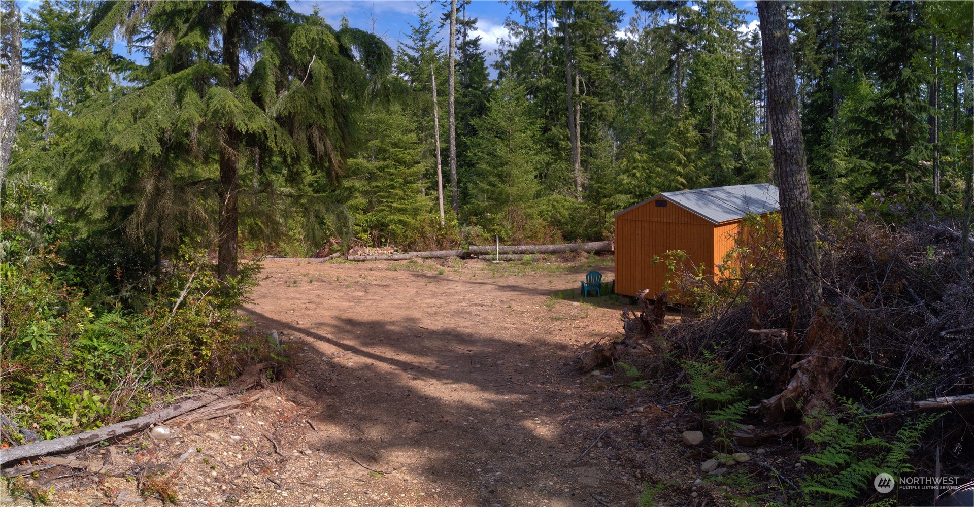376 Whitney Road Quilcene, WA 98376 - Photo 2 of 31 a view of a yard with large trees