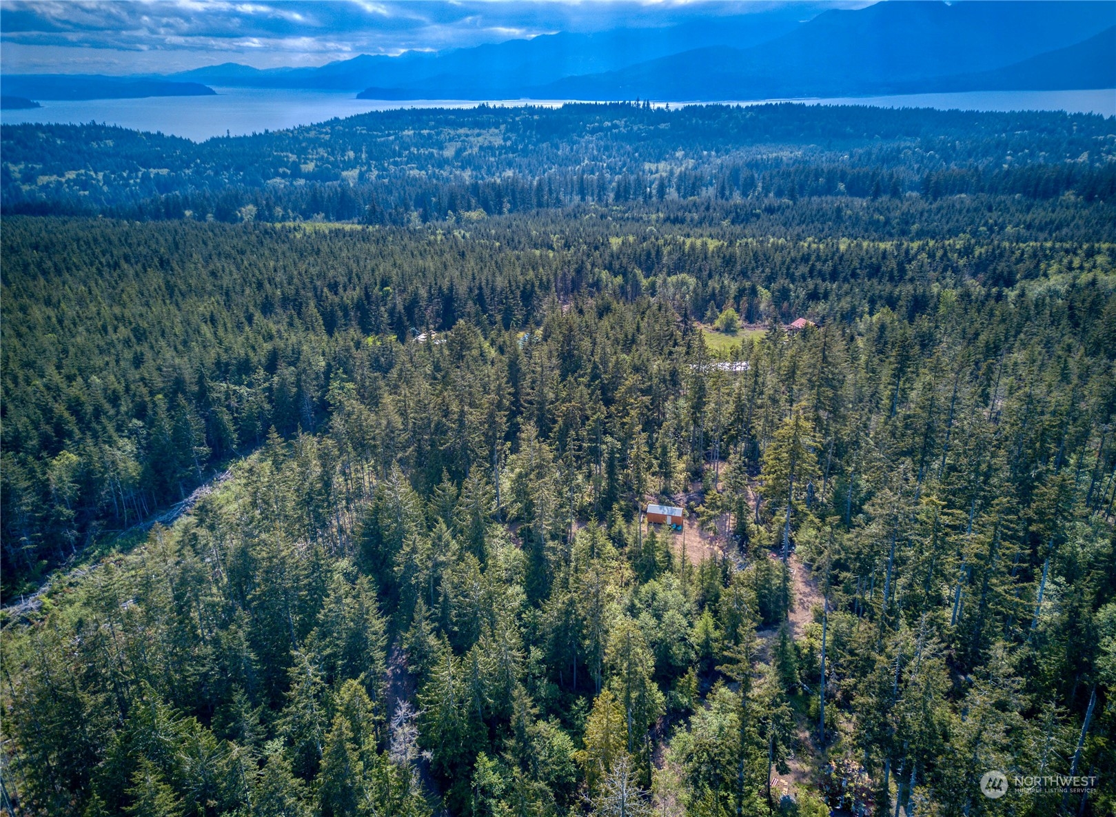 376 Whitney Road Quilcene, WA 98376 - Photo 22 of 31 a view of city and green space