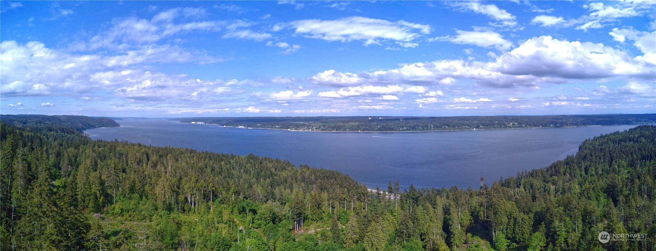 376 Whitney Road Quilcene, WA 98376 - Photo 23 of 31 a view of a yard