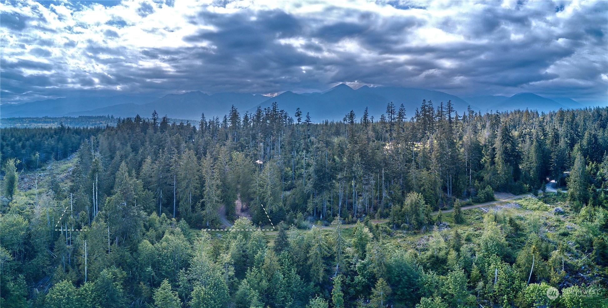 376 Whitney Road Quilcene, WA 98376 - Photo 26 of 31 a view of a city with lush green forest