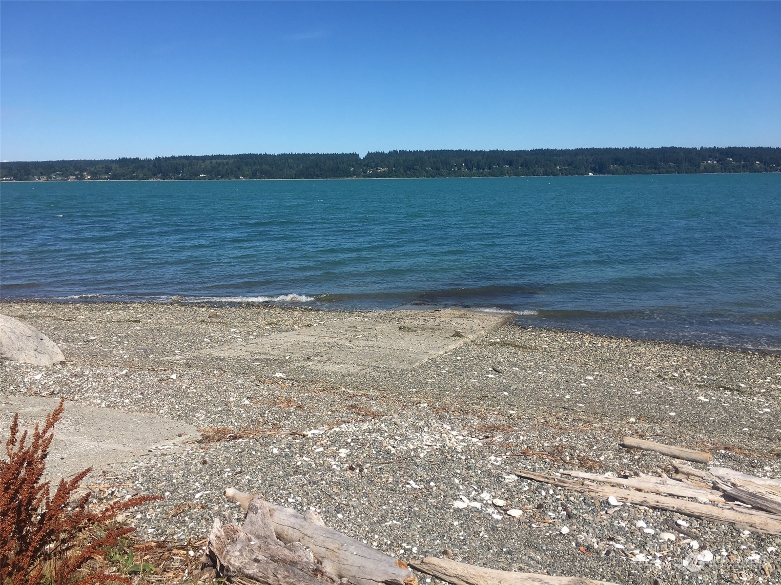 376 Whitney Road Quilcene, WA 98376 - Photo 3 of 31 a view of a yard next to a lake