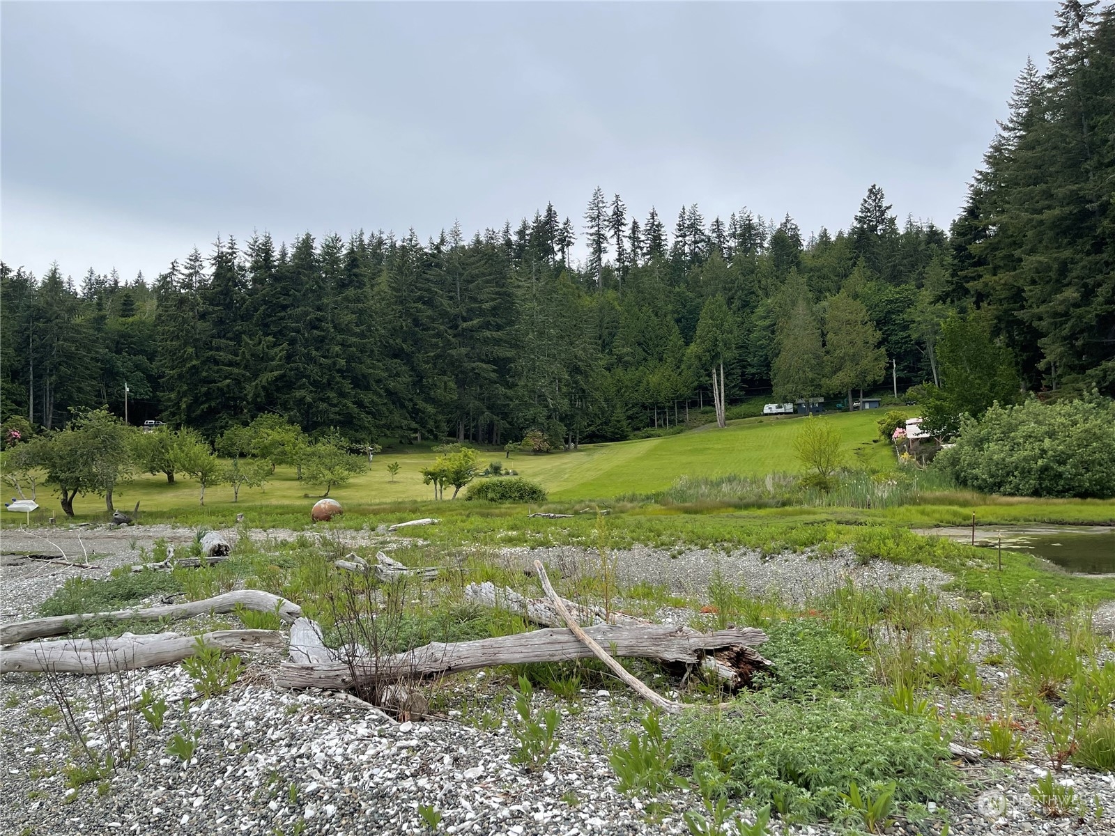 376 Whitney Road Quilcene, WA 98376 - Photo 5 of 31 a view of a field with of trees