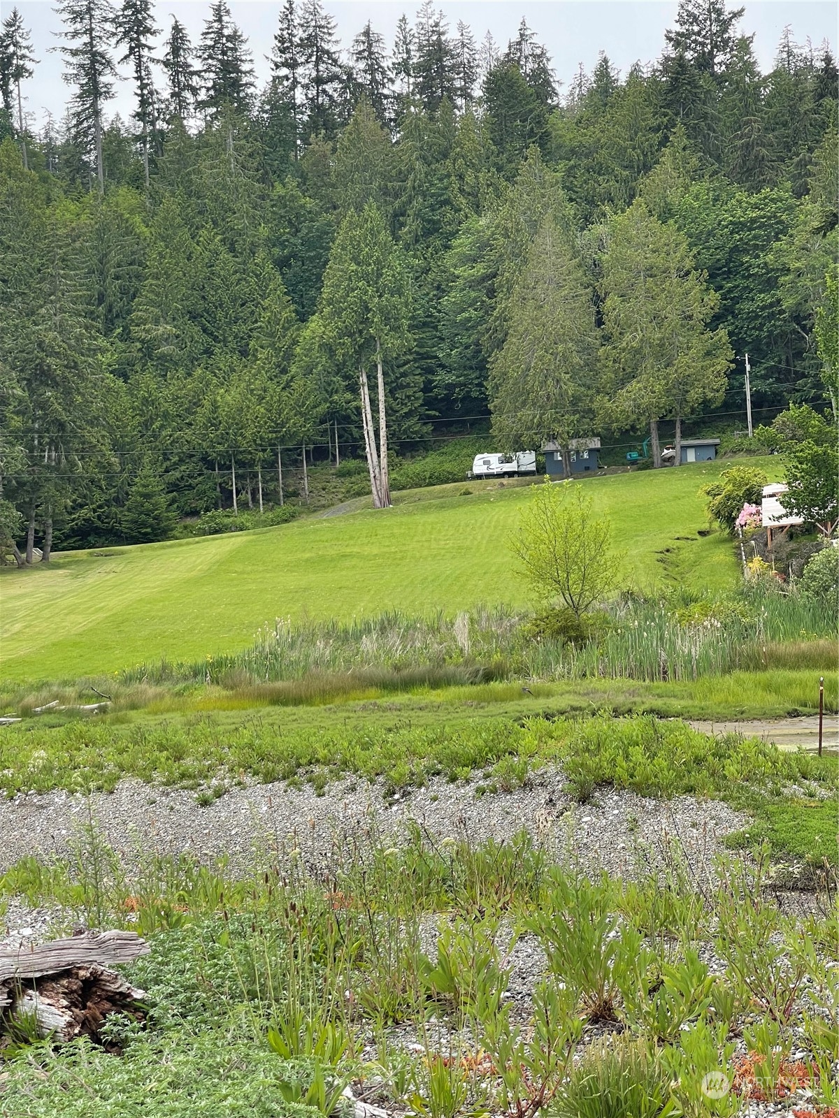 376 Whitney Road Quilcene, WA 98376 - Photo 6 of 31 a view of a grassy field with trees in the background